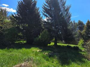 Prodej rodinného domu, Bohdalovice - Slavkov, 160 m2