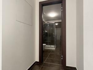 Pronájem bytu 2+kk, Olomouc, Třída Jiřího Pelikána, 74 m2