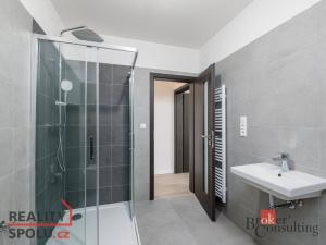Pronájem bytu 2+kk, Břasy, 47 m2