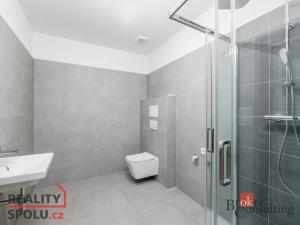 Pronájem bytu 2+kk, Břasy, 47 m2