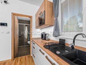 Prodej bytu 1+kk, Černá v Pošumaví, 20 m2