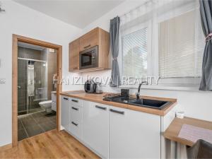 Prodej bytu 1+kk, Černá v Pošumaví, 20 m2