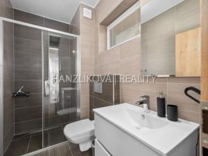 Prodej bytu 1+kk, Černá v Pošumaví, 20 m2