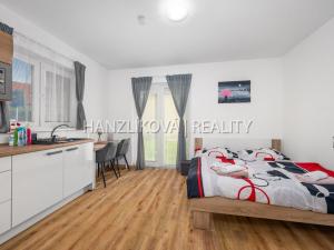 Prodej bytu 1+kk, Černá v Pošumaví, 20 m2