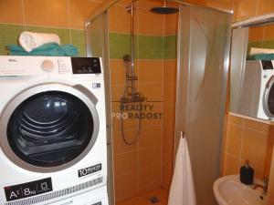 Pronájem bytu 3+1, Olomouc - Povel, V křovinách, 72 m2