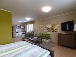 Pronájem bytu 1+kk, Starý Jičín - Vlčnov, 49 m2