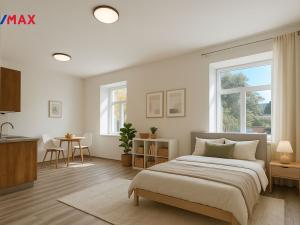 Pronájem bytu 1+kk, Kralupy nad Vltavou, S. K. Neumanna, 31 m2