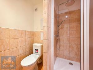 Pronájem bytu 1+kk, Kladno - Kročehlavy, Vodárenská, 26 m2