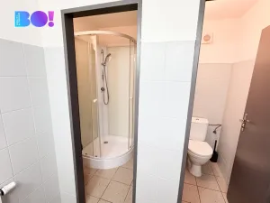 Pronájem kanceláře, Praha, Zubatého, 260 m2