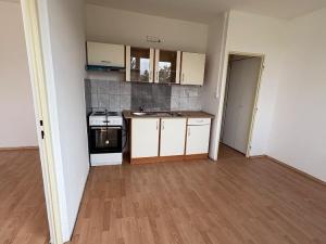 Pronájem bytu 1+1, Duchcov, Osecká, 38 m2