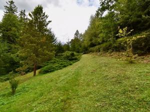 Prodej chaty, Číhošť, 75 m2
