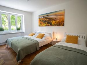 Pronájem bytu 2+1, Mikulov, Nová, 55 m2