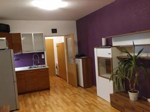 Pronájem bytu 1+kk, Olomouc, Kavaleristů, 36 m2