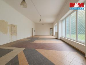 Pronájem obchodního prostoru, Praha - Vokovice, K lánu, 184 m2