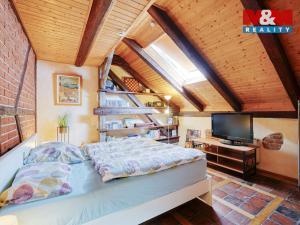 Pronájem atypického bytu, Plzeň, Purkyňova, 145 m2