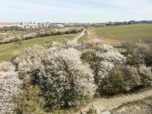 Pronájem bytu 1+kk, Praha - Záběhlice, Klapálkova, 35 m2