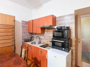Prodej bytu 1+1, Praha - Vinohrady, V Horní Stromce, 49 m2