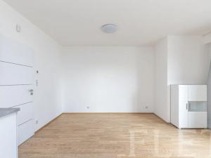 Pronájem bytu 1+kk, Praha - Žižkov, Olšanská, 41 m2