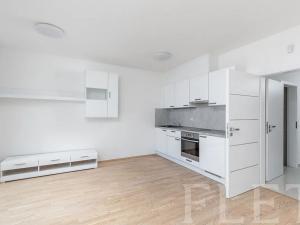 Pronájem bytu 1+kk, Praha - Žižkov, Olšanská, 41 m2