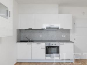 Pronájem bytu 1+kk, Praha - Žižkov, Olšanská, 41 m2