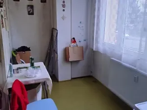 Prodej bytu 2+1, Praha - Kamýk, Olbramovická, 61 m2