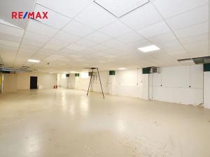 Pronájem obchodního prostoru, Frýdek-Místek, Třebízského, 230 m2