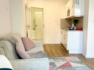 Pronájem bytu 1+kk, Praha - Nové Město, Petrská, 31 m2