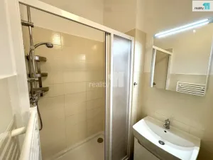 Pronájem bytu 3+kk, Praha - Nusle, Svatoplukova, 55 m2