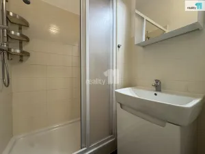 Pronájem bytu 3+kk, Praha - Nusle, Svatoplukova, 55 m2