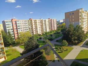 Pronájem bytu 1+1, České Budějovice - České Budějovice 2, Vodňanská, 43 m2