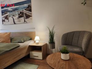 Pronájem bytu 2+kk, Karlovy Vary, Svahová, 45 m2