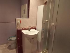 Pronájem bytu 2+kk, Most, Josefa Ševčíka, 40 m2