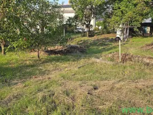 Prodej rodinného domu, Prusy-Boškůvky - Moravské Prusy, 100 m2