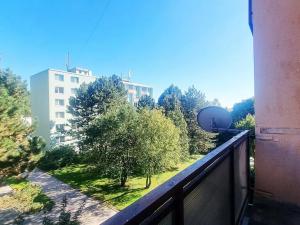 Pronájem bytu 1+1, Brno, Olbrachtovo náměstí, 31 m2