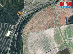 Prodej lesa, Břeclav, 261 m2