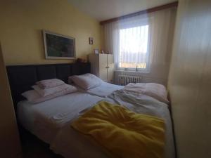 Pronájem bytu 3+1, Jeseník, Lipovská, 68 m2
