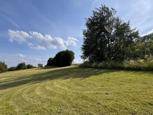 Prodej pozemku, Jestřabí v Krkonoších, 959 m2