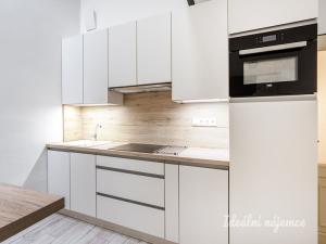 Pronájem bytu 1+kk, Praha - Nové Město, Na Moráni, 47 m2