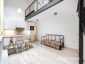 Pronájem bytu 1+kk, Praha - Nové Město, Na Moráni, 47 m2
