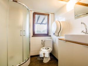 Prodej rodinného domu, Krásná Lípa, Rumburská, 140 m2