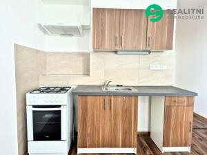 Prodej bytu 1+1, Strakonice, Pionýrská, 38 m2