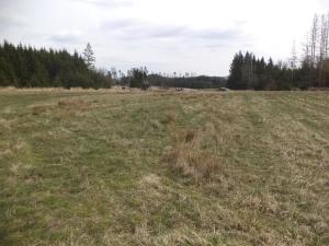Dražba louky, Opatov, 22551 m2