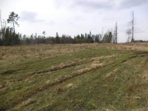 Dražba louky, Opatov, 22551 m2