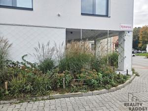 Pronájem kanceláře, Brno, Kytnerova, 49 m2