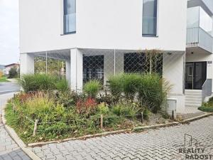 Pronájem kanceláře, Brno, Kytnerova, 49 m2