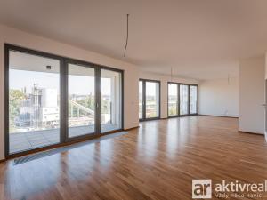 Pronájem bytu 5+kk, Praha - Karlín, Breitfeldova, 155 m2