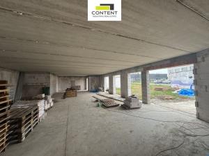 Pronájem výrobních prostor, Zlatníky-Hodkovice - Hodkovice, Technologická, 1154 m2
