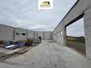 Pronájem výrobních prostor, Zlatníky-Hodkovice - Hodkovice, Technologická, 1154 m2