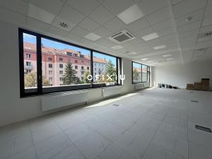 Pronájem kanceláře, Brno, Botanická, 140 m2