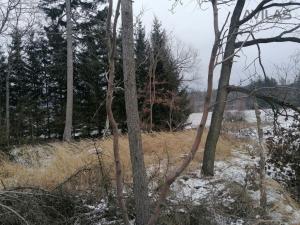 Prodej lesa, Votice - Hory, 11862 m2